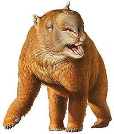 Herbert Marsupial