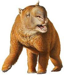 Herbert Marsupial